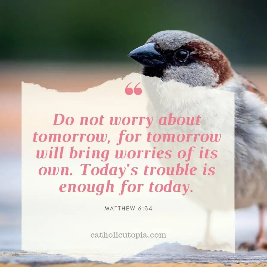 Do not worry about tomorrow, for tomorrow will bring worries of its own. Today's trouble is enough for today